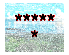 305907255