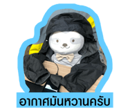 305910341