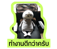 305910344
