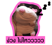 305910355