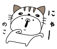 305912795