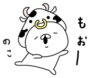305912797