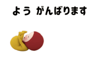 305916011