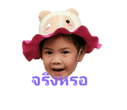 305916454