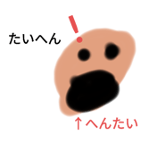 305918290