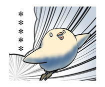 305919088