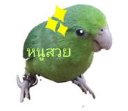 305919470