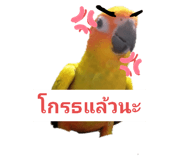 305919471