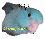 305919472