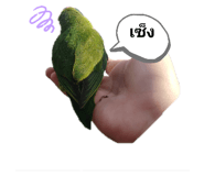 305919482