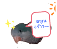 305919483