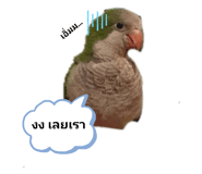 305919485