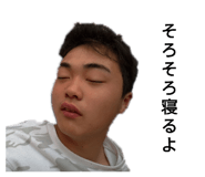 305919725