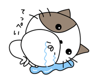 305920649