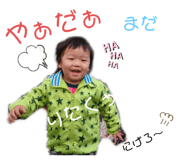 305920946
