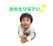 305927521