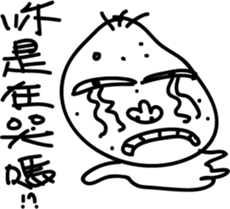 305981822