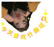 305993687