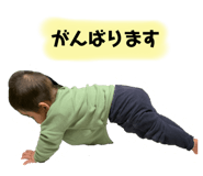 306007353
