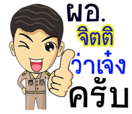 306028787