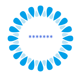306048798