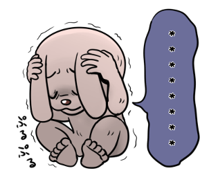 306055025