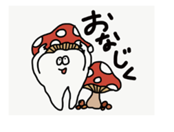 30606888