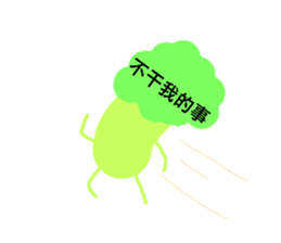 30607655