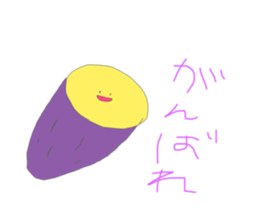 306078804