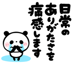 306116046