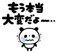 306116047
