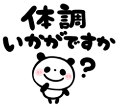 306116054