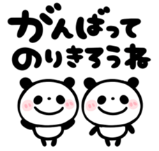 306116064