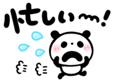 306116066