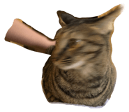 306129180