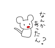 306129899