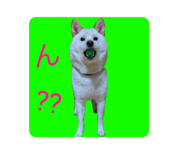 306152486