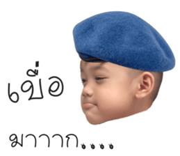 306154637