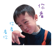 30617137