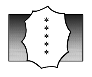 306175694