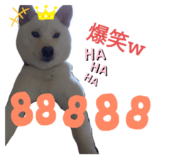 306185418