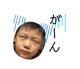 306201181