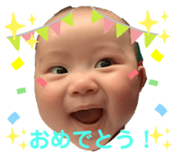 306203254