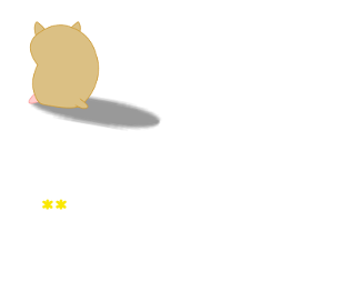 306218799