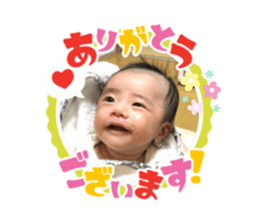 306223735