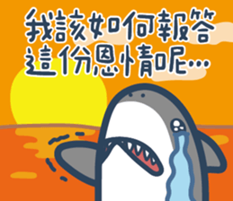 306264013
