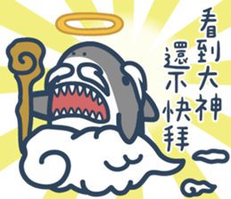 306264022