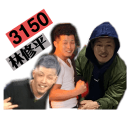 306266155