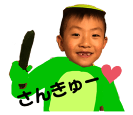 306283800