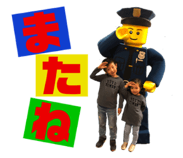 306283812